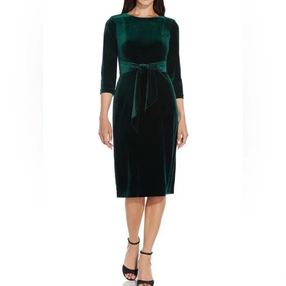 adrianna papell green velvet dress Velvet Gown Adrianna Papell Emerald Dress Adrianna Papell Sleeveless Velvet Beaded Floral Gown Night Plum